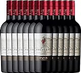 VINELLO 12er Weinpaket Rotwein - Ribet Red Cabernet Sauvignon Merlot 2020 - Arrogant Frog mit VINELLO.weinausgießer | 12 x 0,75 L