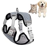 WYHmusic Satteltyp-Waben-Net-Katzen-Kabelbaum, einstellbar, draußen-Haustierweste 3M-Reflexionsstreifen, Hundweste, einfach zu kontrollieren,3