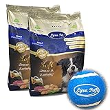 Lyra Pet® 8 kg + 400 g gratis High Premium Hundefutter Dog Soft Strauß & Kartoffel Trockenfutter hypoallergen getreidefrei glutenfrei Zahnpflege Hunde Hund Futter + Tennis B