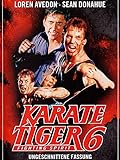 Karate Tiger 6 - Fighting Sp