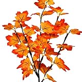 WIIBST Künstlicher Herbst Beleuchteter Ahornbaum 75cm Thanksgiving Dekorationen Tischleuchten Batteriebetrieben für Thanksgiving Hochzeit Geschenke Indoor Outdoor Ernte Wohnk