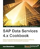 SAP Data Services 4.x Cookbook: Delve into the SAP Data Services environment to efficiently prepare, implement, and develop ETL processes (English Edition)