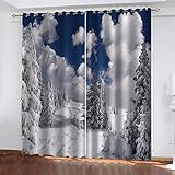 LucaSng Blauer Himmel Kinder Vorhang Blickdicht Baiyun-Schneeszene Ösenschal 3D Muster Verdunkelungsvorhang Kinderzimmer Junge Mädchen Blickdichter Ösenvorhang 2 Stücke 91.5x214 cm(B x H)