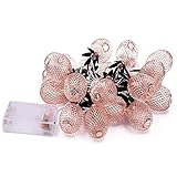 Vintage Lampenschirm Lichterkette, 20 LEDs Roségold Metall Polygon Laterne Käfig Geometrische Lichter Batteriebetrieben für Heim Terrasse Garten Hochzeit (Ananas)