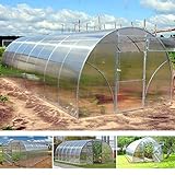 gazebiprofessionali.com Gewächshaus Tunnel 3 x 8 m Polycarbonat 4 mm Volcan von Serrashop, modulares Gewächshaus für Garten, Garten,