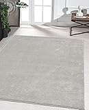 the carpet Marley eleganter Designer Teppich Wohnzimmer, weicher & pflegeleichter Kurzflor Wohnzimmerteppich in Silber, Teppich 200 x 290