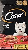 Cesar Classics Nassfutter für Hunde, Terrine, gemischte Auswahl, 8 x 150 g