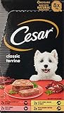 Cesar Classics Nassfutter für Hunde, Terrine, gemischte Auswahl, 8 x 150 g