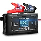 HTRC Kfz-Batterie-Ladegerät, 15 A, intelligentes automatisches Ladegerät, 12 V/24 V, 7 Stufen, mit LCD-Bildschirm-Wartung/Puls-Reparatur-Ladegerät für Auto, M