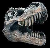Tyrannosaurus Rex Totenkopf - groß - Deko Figur W