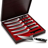 Sunnecko Steakmesser Set, Damaststahl Steakbesteck 6 teilig 13cm Damastmesser Japanischer VG10 Cored & 73-Schichten Damast Klinge& G10 Griff Besteckset Messer Scharf Glatte klinge Classic S