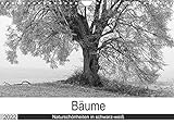 Bäume - Naturschönheiten in schwarz-weiß (Wandkalender 2022 DIN A4 quer)