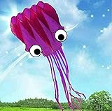 WLALLSS AP Happy Aquarium - Spaß zu fliegen 5M 3D Octopus Parafoil Kite Lila mit Griff & Schnur Outdoor Park Garden Games Spaß