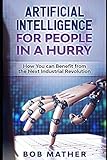 Artificial Intelligence for People in a Hurry: How You Can Benefit from the Next Industrial R