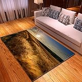 Bedruckter Teppich 80x150cm Blau Weizenfeld Kurzflor Rutschfester Teppich Leicht zu Reinigen Eingangsmatte Ideal für Wohnzimmer Schlafzimmer Küche Kinderzimmer Yog