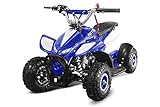 49cc Dragon 4' II Mini Quad ATV Bike Pocket Cross Midi Buggy Kinderquad Kinderfahrzeug (Blau)