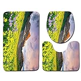 Claean-Acces-Home Badematte rutschfest Set 3Pcs Floral Badematten rutschfeste Badezimmerteppiche Saugfähiger Teppich Für Wohnkultur Bunte Toilettenmatte Fußmatte-Hd0002_Große 50X80Cm 3S