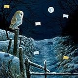 Zettelkalender: Magie und Mythos der Winter-Weihnacht - Spannende Bräuche und Mythen rund um Weihnachten und die Raunächte (Literarische Adventskalender)