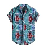 Herren Leinen Viskose Hemd mit Muster Kurzarmhemd Oversize Shirt MäNner Bunte Herrenhemden Casual Locker 3D Gedruckt Sommerhemden Kent Kragen Hawaiihemd (Blau, XXXL)