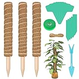 Hysagtek 3 Stück Moosstab Pflanzstab Kokos ,16 Zoll Rankhilfe Pflanzen Blumenstab Verlängerbar Kokosstab für Garten Kletterpflanzen mit Pflanzenetiketten, Krawatten,Hanfseil und Werkzeug