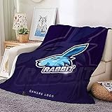 SJDHS Kuscheldecke Flanell Decke,für Couch weich und warm,für Kinder Teens Erwachsene (1,150×200cm)