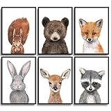 Frechdax® Kinder Poster Kinderzimmer Deko Bilder Waldtiere - Tiere des Waldes DIN A4 6er Set |