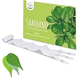 5m Saatband Feldsalat Samen (Verte a coeur plein 2 - Valerianella locusta) - Knackig, frischer Salat ideal für die Anzucht im Garten, Balkonkasten & Gemüseb