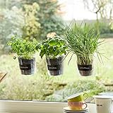 Kräutertopf-Trio 'Basil' für Küchenfenster inkl. Beschriftungsfolie und Kreide | Fresh Herbs Trio | Kräuter | Garten | Kräutergarten | Fensterdekoration | Geschenk | Ø 13 cm | Höhe: 16