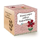 Feel Green 296619 Celebrations Ecocube, Schokoladenblume, Holzwürfel Mit Lasergravur «Einen Super Süßen Geburtstag», Nachhaltige Geschenkidee, Anzuchtset, M
