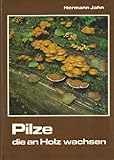Pilze, die an Holz w