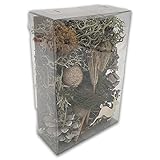 MatoSan Weihnachts-Potpourri, Gewicht 150g Advents- und Weihnachtsdekoration mit Tannenzapfen Moos Getrocknete Blumen Raumduft Natürliche Tisch-Deko Basteln Beeren (Weiß)