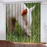 TTBBBB Vorhang Schlafzimmer Gras Schwein B 120 x H 140 cm Soft Blickdicht Vorhang Gardinen Raumverdunkelung mit Ösen Ösenvorhang für Schlafzimmer Wohnzimmer 2er S