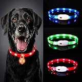 Oladwolf Leuchthalsband Hund Aufladbar, LED Hundehalsband Leuchtend wasserdicht Längenverstellbar USB, Haustier Sicherheit Kragen für Hunde und Katzen - 3 Leuchtmodi (Rot)