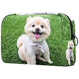 Make-up Kulturbeutel für Frauen Geldbörse Cosmetic Travel Kit Organizer,pommerscher Hund mit großen schwarzen Augen und braunen Haaren entspannen Sich vor der Tü