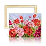 decalmile Malen Nach Zahlen Kits DIY Leinwand Gemälde für Erwachsene Anfänger Rote Mohnblume 16'X 20' (40 x 50cm, Holzrahmen)