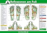 Reflexzonen am Fuß (A4)