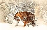 THTHTH Blumen Zwei Tiger im Schnee Poster und Drucke Tier Leinwand Malerei Landschaft Wandkunst Für Wohnzimmer Dekoration Bilder 60x100cm x1 Kein R