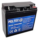 PELTEC@ Premium Blei AGM VLRA Akku Batterie 12V 22Ah 20HR, ersetzt auch 15Ah 17Ah 18Ah 19Ah 20Ah (zyklenfest + wartungsfrei)