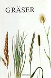 GRÄSER (Ein Bestimmungsbuch - Entwicklung, Wuchs, Verbreitung, Anlegen von Rasenflächen, Bildtafeln uvm.)