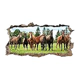 nikima - 125 Wandtattoo Pferde Braun Koppel Wiese - Loch in der Wand - in 6 Größen - Wunderschöne Kinderzimmer Sticker Aufkleber Bezaubernde Wanddeko Wandbild Mädchen - Größe 1000 x 500