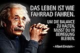 Schatzmix Spruch Einstein Das Leben ist wie Fahrrad Metallschild Wanddeko 20x30 cm tin Sign Blechschild, Blech, Mehrfarbig