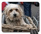 Mauspad - Hund Hund im Fahrradkorb süß