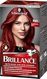 Brilliance Intensiv-Color-Creme 842 Kaschmirrot Stufe 3 (3 x 160 ml), dauerhafte Haarfarbe mit Diamant-Glanz-Effekt & Pflege-Conditioner, 10 Wochen Farb