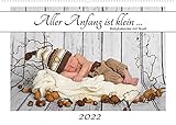 Aller Anfang ist klein - Babykalender mit Noah (Wandkalender 2022 DIN A2 quer)