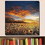 JIERUIFBH Leinwand Wandkunst 50x50cm kein Rahmen Nordic Sonnenblumenfeld Bilder Blumen Poster Sonnenblume Malerei auf Leinwand für Wohnzimmer Kunstwerk