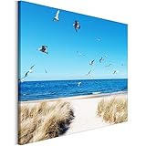 Revolio 40x30 cm Leinwandbild Wandbilder Wohnzimmer Modern Kunstdruck Design Wanddekoration Deko Bild auf Leinwand Bilder 1 Teilig - Strand Meer Vögel Dünen beige b