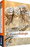 Campbell Biologie Gymnasiale Oberstufe (Pearson Studium - Biologie Schule)