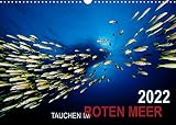 Tauchen im Roten Meer 2022 (Wandkalender 2022 DIN A3 quer) [Calendar] Strozynski, Bartosz [Calendar] Strozynski, Bartosz [Calendar] Strozynski, B