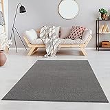 Fashion4Home Teppich Wohnzimmer – Einfarbig Teppich, Uni Teppich fürs Kinderzimmer, Schlafzimmer, Arbeitszimmer, Büro, Flur und Küche - Kurzflor Teppich Hellgrau, Größe: 120x170