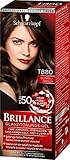 SCHWARZKOPF BRILLANCE Glanz-Tönungs-Gel T880 Dunkelbraun Stufe 1, sofortige Farbauffrischung, 3er Pack (3 x 60 ml)